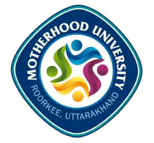 Partner University 4