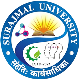 Partner University 8